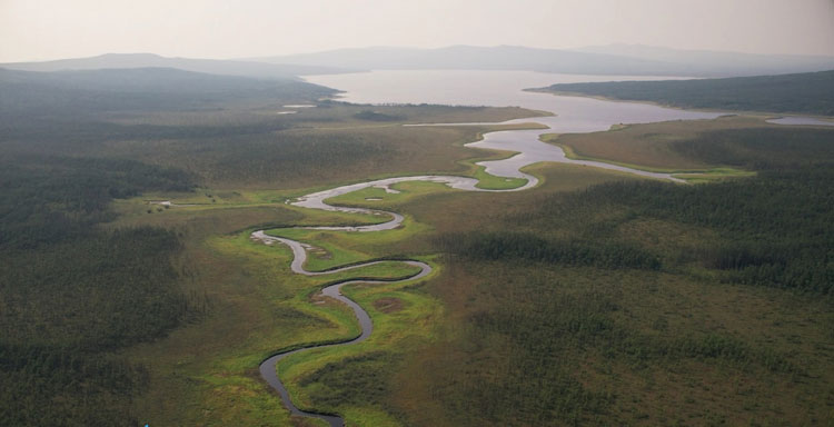 Река Амур